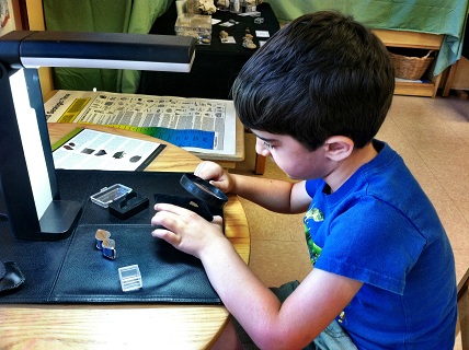 Scientific method utilizing curiosity, experimentation,observation and evaluation