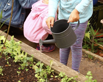 Montessori Toddler Garden