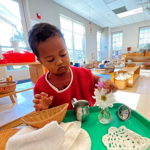 Toddler in Preschools Montessori Nearby Childcare