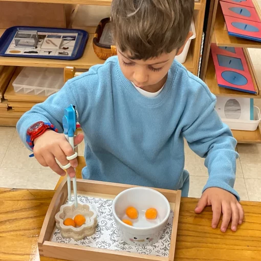 Early Childhood Preschool at Montessori Nearby Childcare