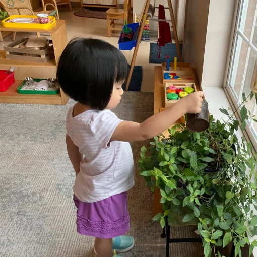 Early Childhood Preschools at Montessori Nearby Childcare