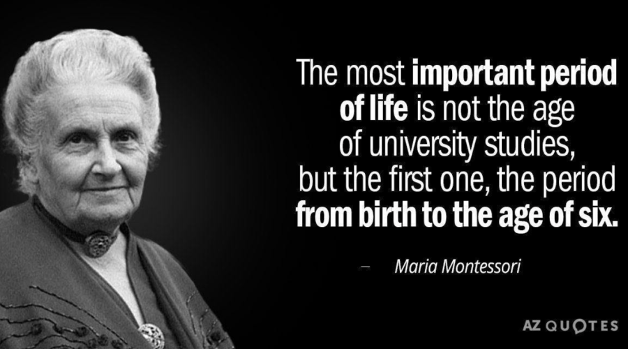 Montessori Early Childhood Quote