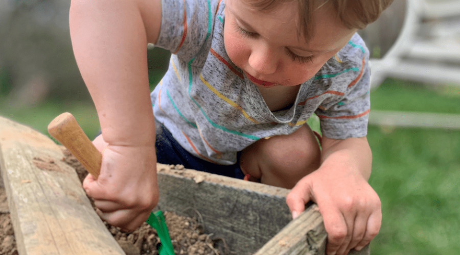 Toddler Boy gardening outdoors